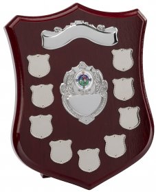 Perpetual Shield with 9 Record Shields 25.5cm