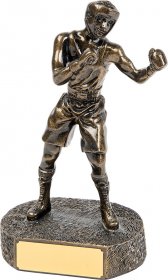Boxing Resin Trophy 21cm
