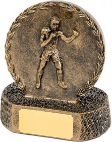Boxing Resin Trophy 12.5cm