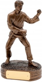 Martial Arts Trophy Male 22cm