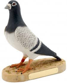 Pigeon Trophy 21cm