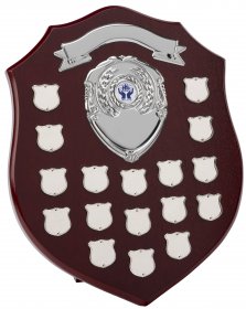 Perpetual Shield with 17 Record Shields 35.5cm