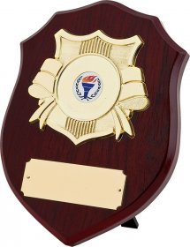 Shield Shape Wooden Plaque - 5 Sizes