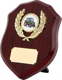 Shield Shape Wooden Plaque - 5 Sizes