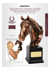 Large Bronze Plated Horse Head Award