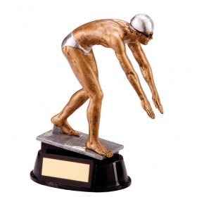 Male Swimming Award 17cm