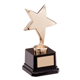 Challenger Gold Star Metal Trophy - 2 Sizes