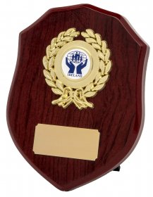 Shield Shape Wooden Plaque - 5 Sizes