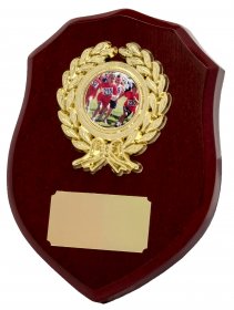 Shield Shape Wooden Plaque - 5 Sizes