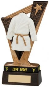 CLEARANCE - Martial Arts Trophy Victory - 15.5cm