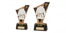 CLEARANCE - Martial Arts Trophy Victory - 15.5cm