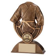 CLEARANCE - Martial Arts Trophy Tempo - 15cm