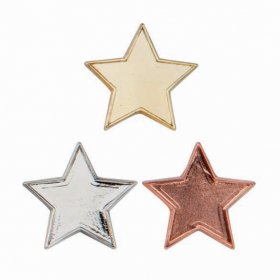  School Badge - Star Pin Badge