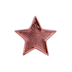  School Badge - Star Pin Badge