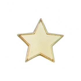  School Badge - Star Pin Badge