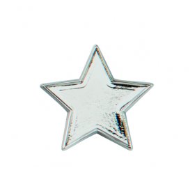  School Badge - Star Pin Badge