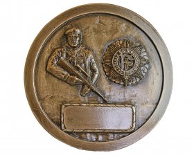 Bronze Irish Army Disc 14cm