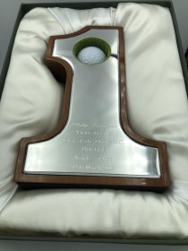 Golf Hole In One Trophy