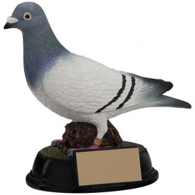 Elite Pigeon Trophy 16cm