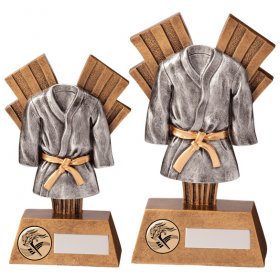 Xplode Martial Arts Trophy - Last One