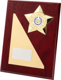 Wooden Plaque with Star - 3 Sizes