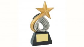 Star Resin Trophy 25cm
