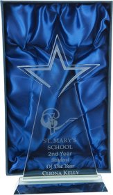 Crystal Star Award with Frosted Detail - 24cm