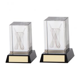 Cricket 3D Crystal Award - 2 Sizes