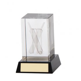 Cricket 3D Crystal Award - 2 Sizes