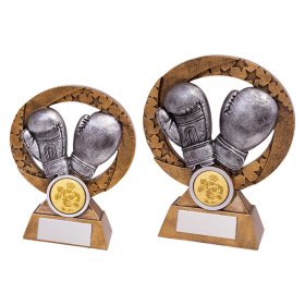 Revolution Boxing Award - 2 Sizes