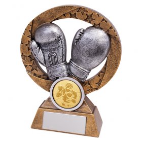 Revolution Boxing Award - 2 Sizes