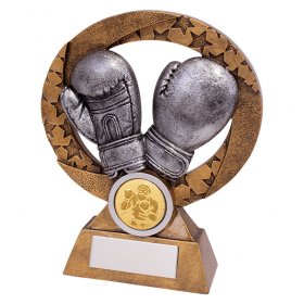 Revolution Boxing Award - 2 Sizes