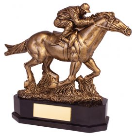 Aintree Equestrian Racing Horse Award 22cm