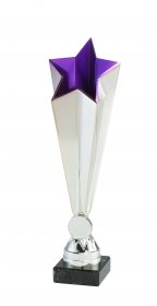  Star Award Silver & Purple - 3 Sizes