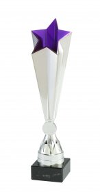  Star Award Silver & Purple - 3 Sizes