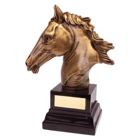 Belmont Equestrian Horse Trophy 17cm
