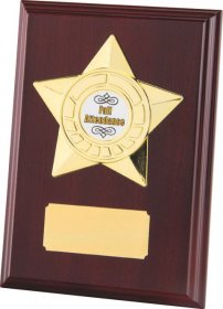 Wooden Plaque with Star - 3 Sizes