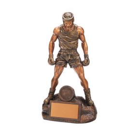 Ultimate Boxing Award - 4 Sizes