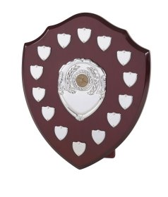 Perpetual Shield with 14 Record Shields 30cm