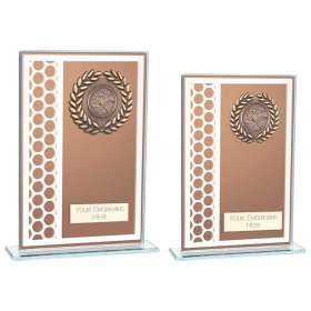 Titanium Mirrored Glass Award Bronze - 2 Sizes