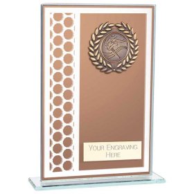 Titanium Mirrored Glass Award Bronze - 2 Sizes