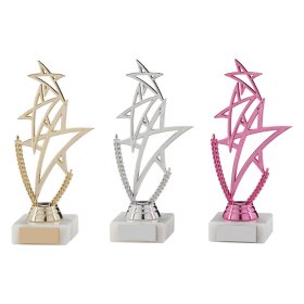 Rising Star Multi-Sport Trophy - 3 Colours - 18cm