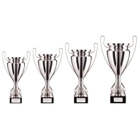 EuroStars Cup Silver - 4 Sizes