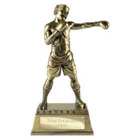 The Classic Boxing Award - 4 Sizes