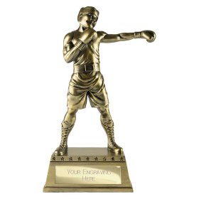 The Classic Boxing Award - 4 Sizes
