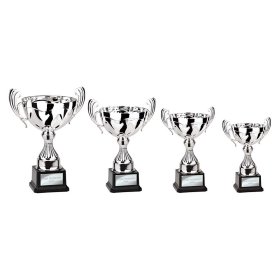 Endeavour Cup Silver - 4 Sizes