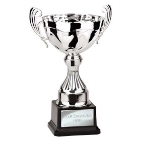 Endeavour Cup Silver - 4 Sizes