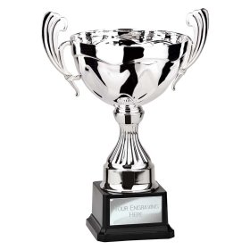 Endeavour Cup Silver - 4 Sizes