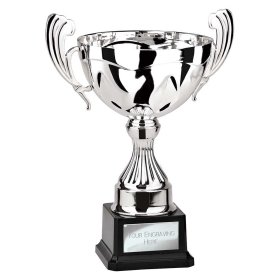 Endeavour Cup Silver - 4 Sizes