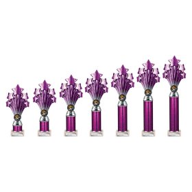 5 Star Multisport Tube Trophy Purple & Silver - 7 Sizes